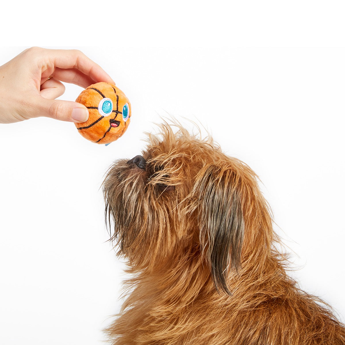 Drool & Dribble Basketball Plush Fetch Dog Toy