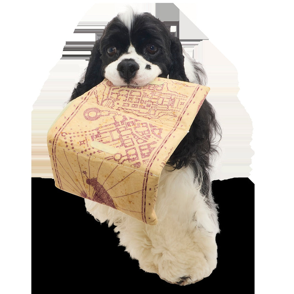 Marauder’s MapTM Plush Tug Dog Toy