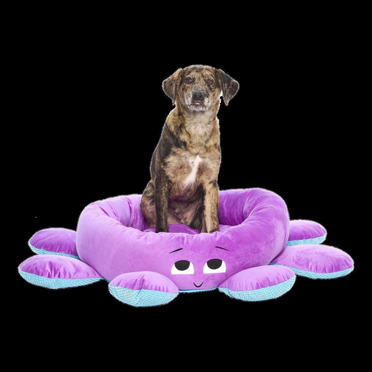 Ollie the Octopus Dog Bed