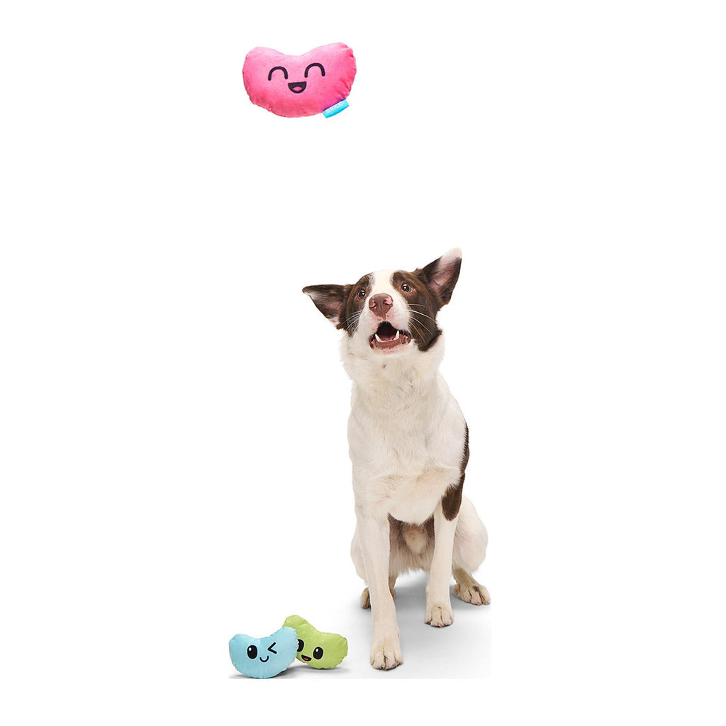 Re-Play Pack: Dr. Brindlecoat's Belly Beans Plush Multi-Part Dog Toy