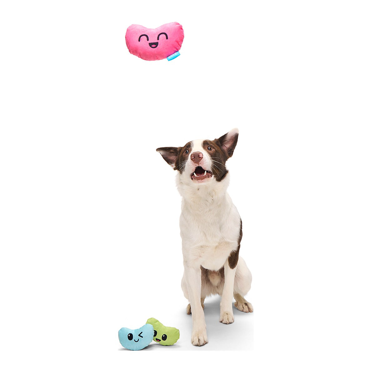 Re-Play Pack: Dr. Brindlecoat's Belly Beans Plush Multi-Part Dog Toy
