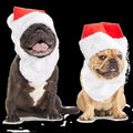 Here Comes Santa Paws Plush Wearable Tug Dog Toy