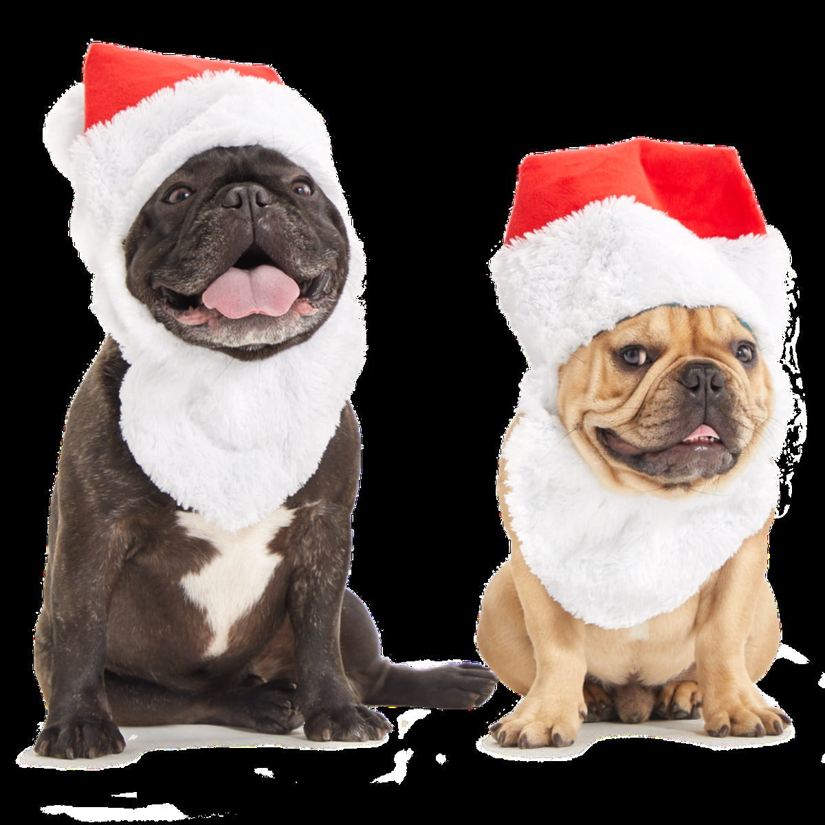 Here Comes Santa Paws Plush Wearable Tug Dog Toy