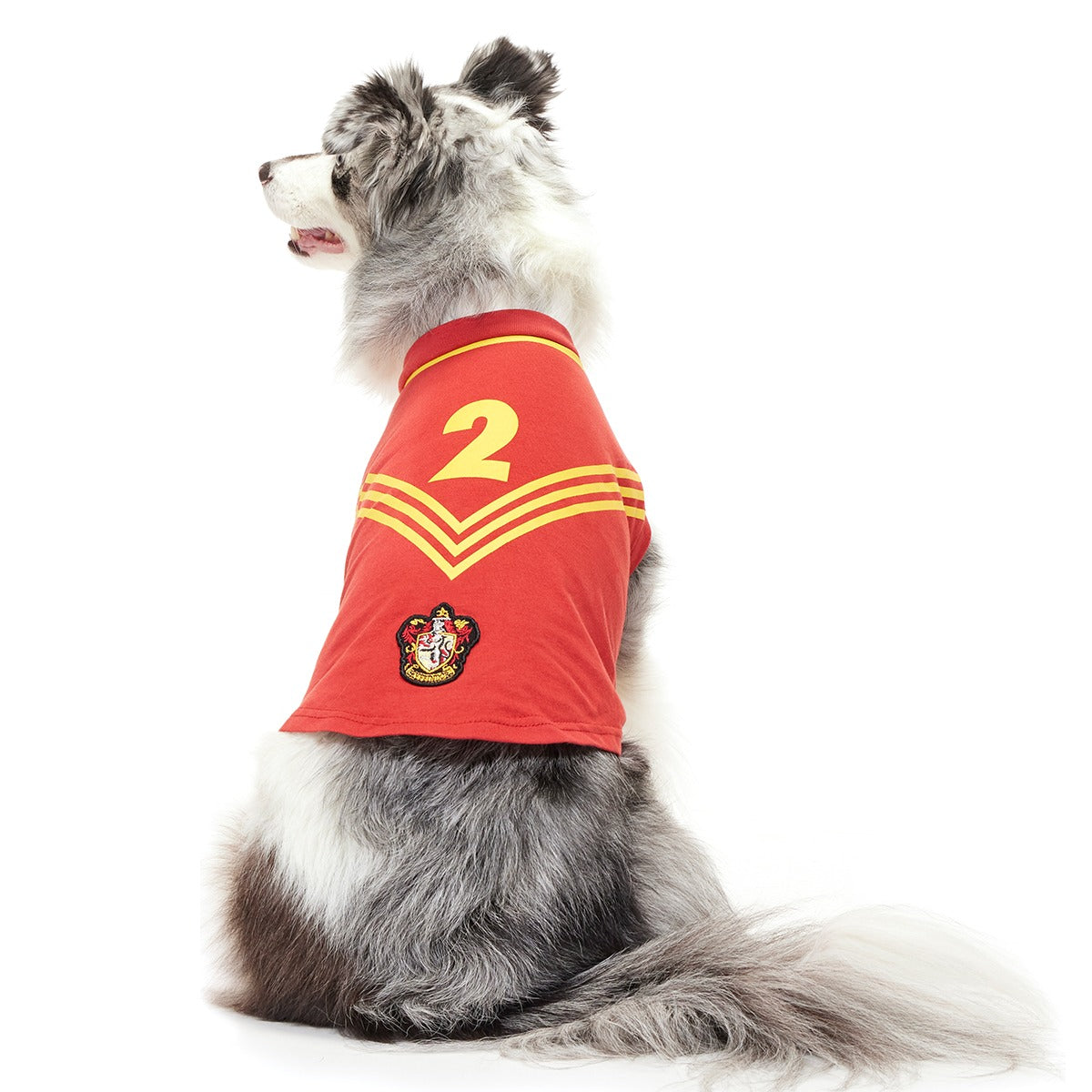 QuidditchTM Jersey