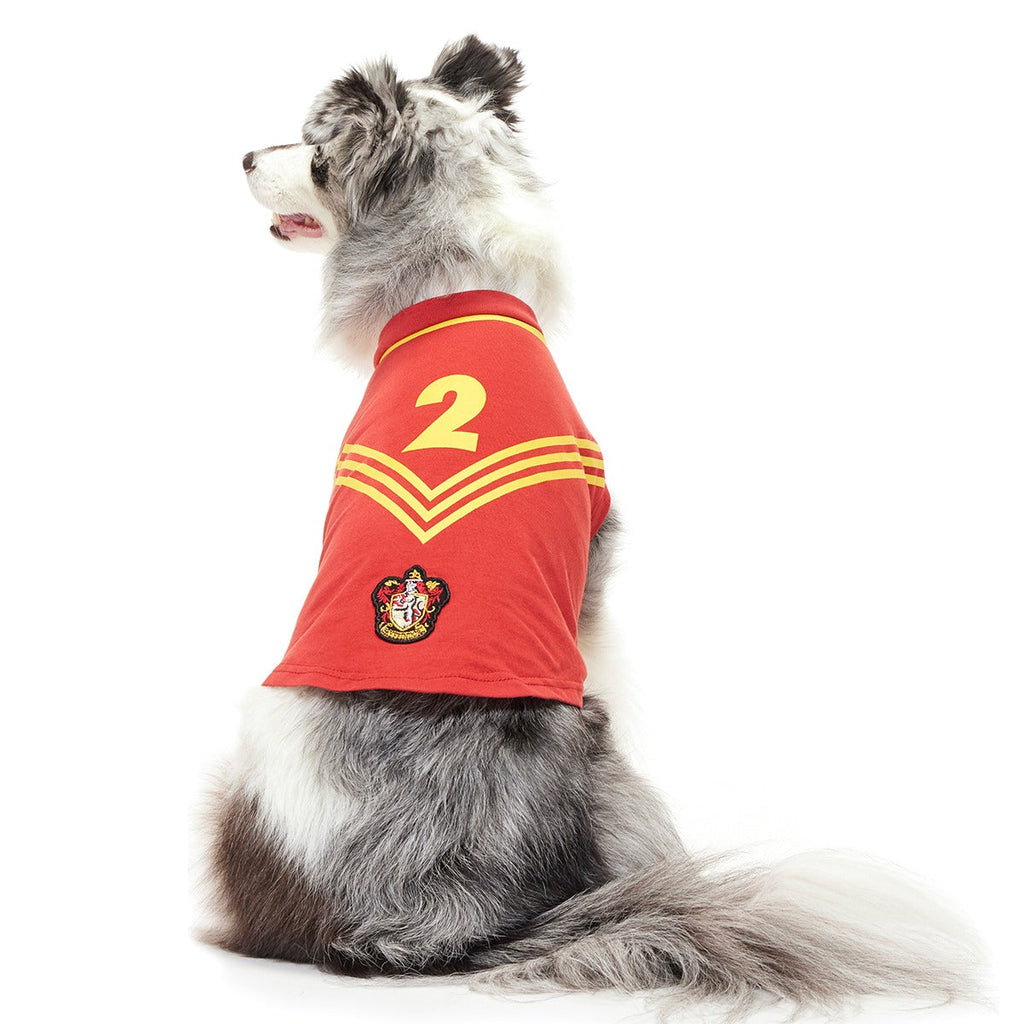 QuidditchTM Jersey