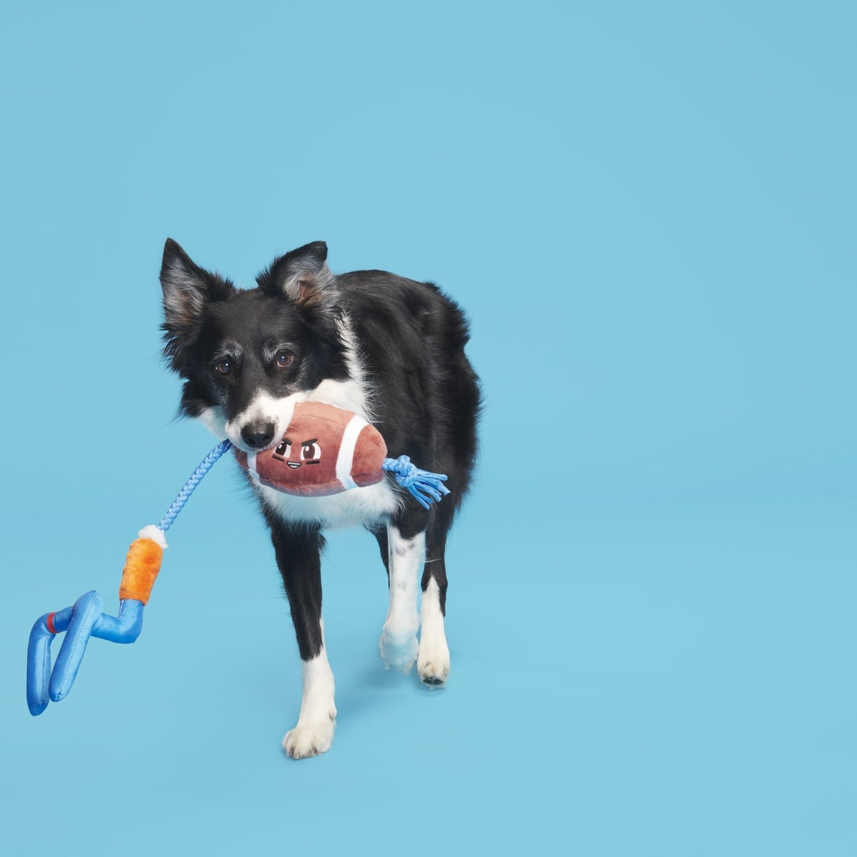 The Whole Canine Yards Plush Tug Dog Toy