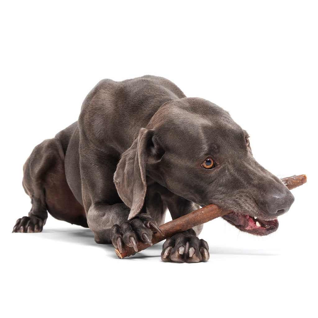 Beefy Chewin' Collagen Dog Chew, 12 inch