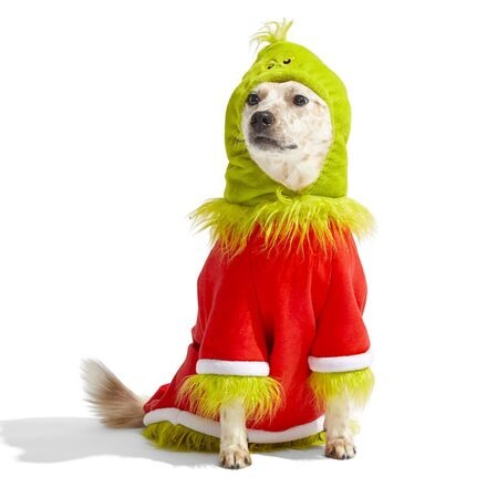 Grouchy Slouchy Grinch Dog Costume & Dog Toy Super Chewer Bundle