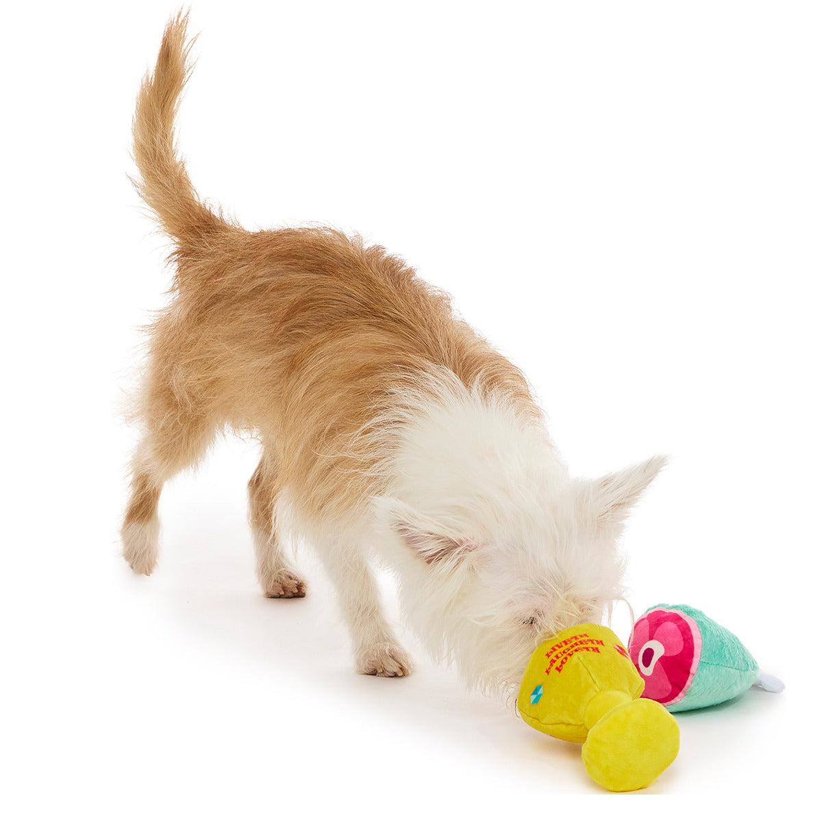 Feast Fetched for a King Plush Multi-Part Dog Toy