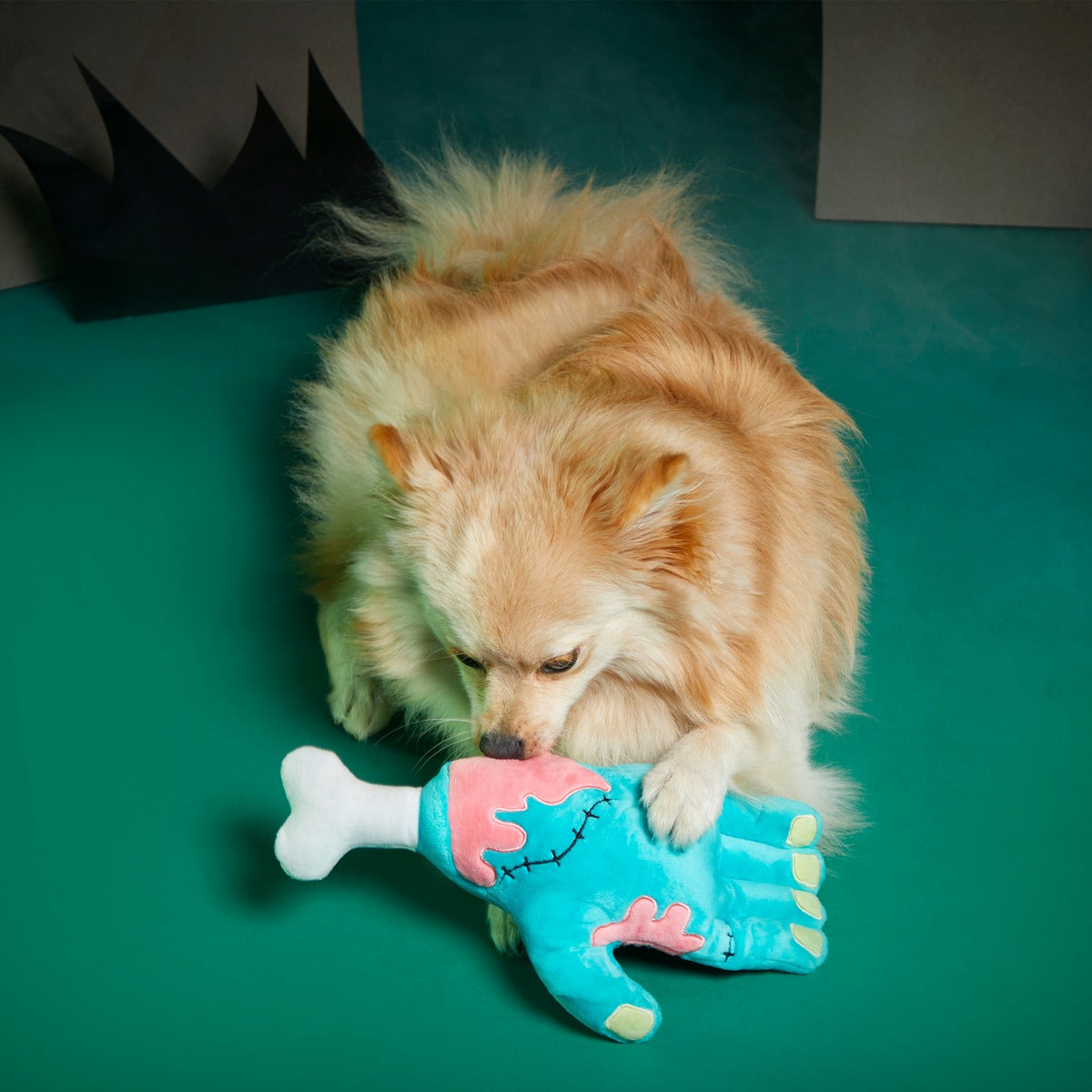 Die Five Plush Tug Dog Toy