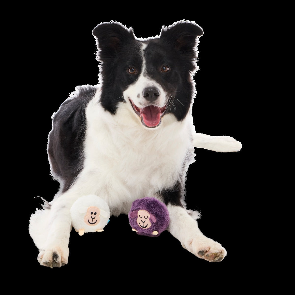 Good Sheep, Baa Sheep Plush Multi-Part + Fetch Dog Toy