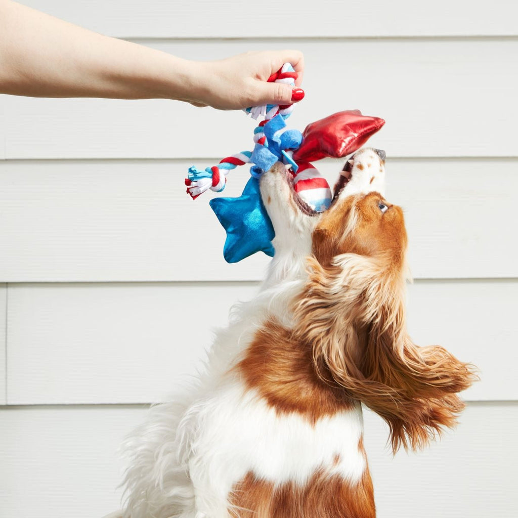 Star Spangles Plush Multi-Part + Tug Dog Toy