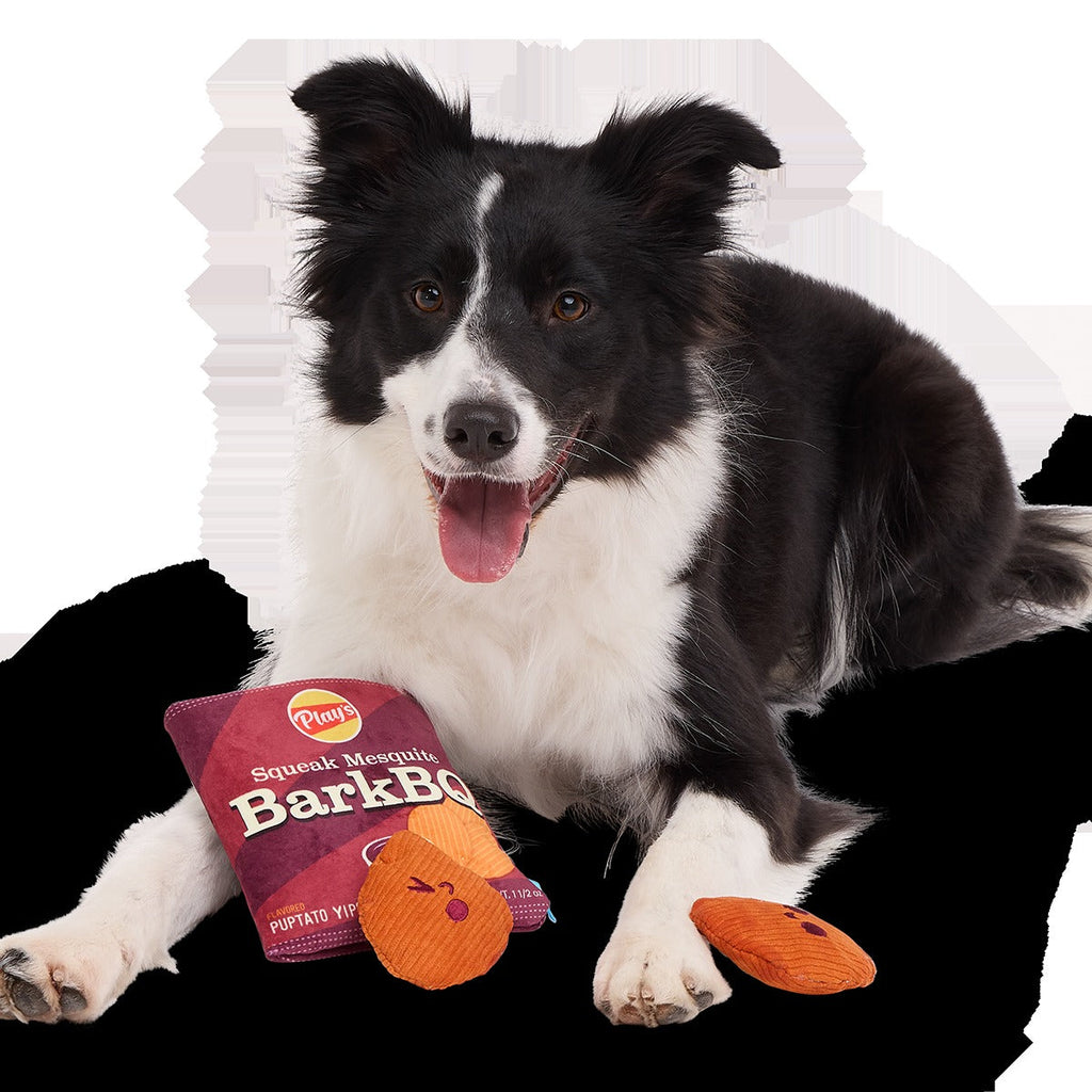 BarkBQ Chips Plush Multi-Part + Enrichment Dog Toy