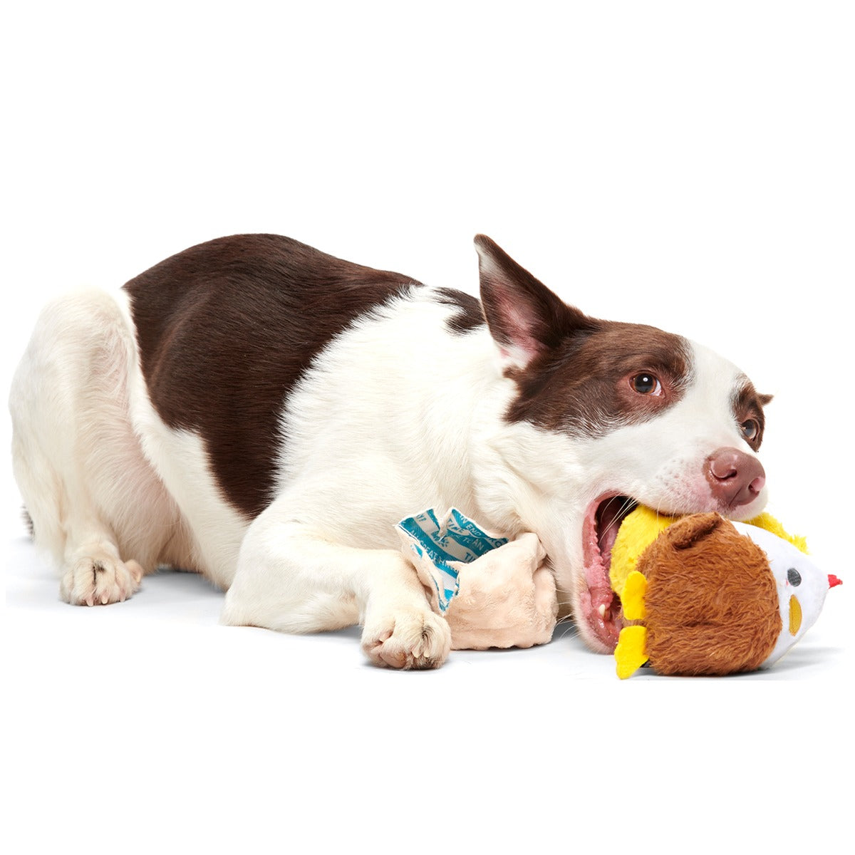 Hatch Me If You Can Super Chewer Durable 4-in-1 Dog Toy