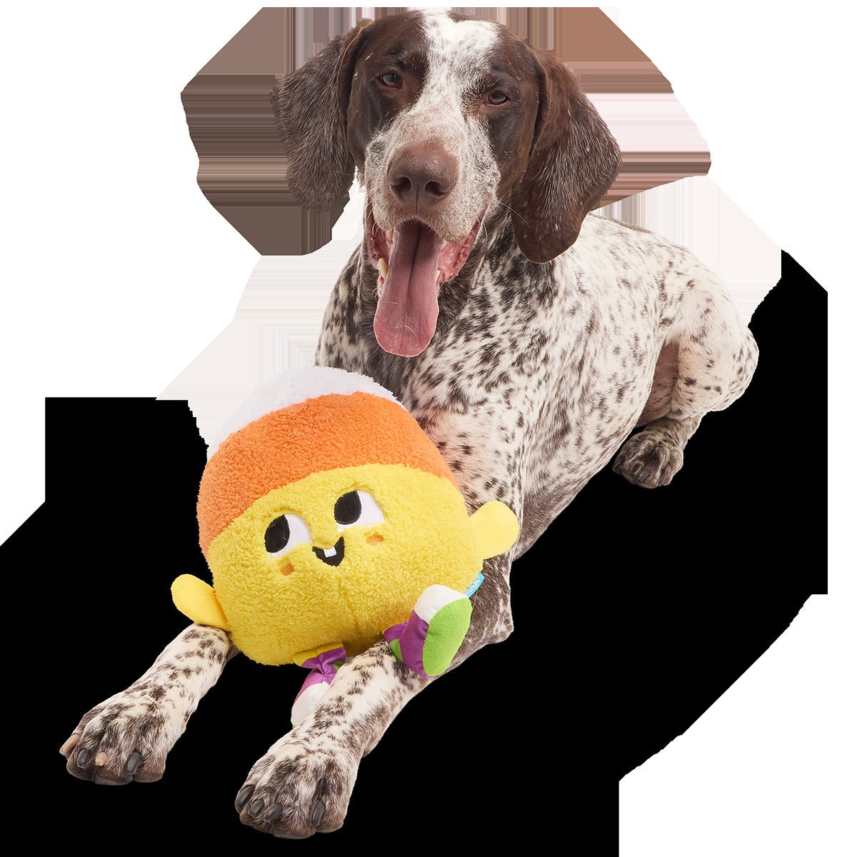 Randy Corn Plush Extra-Large + Tug Dog Toy