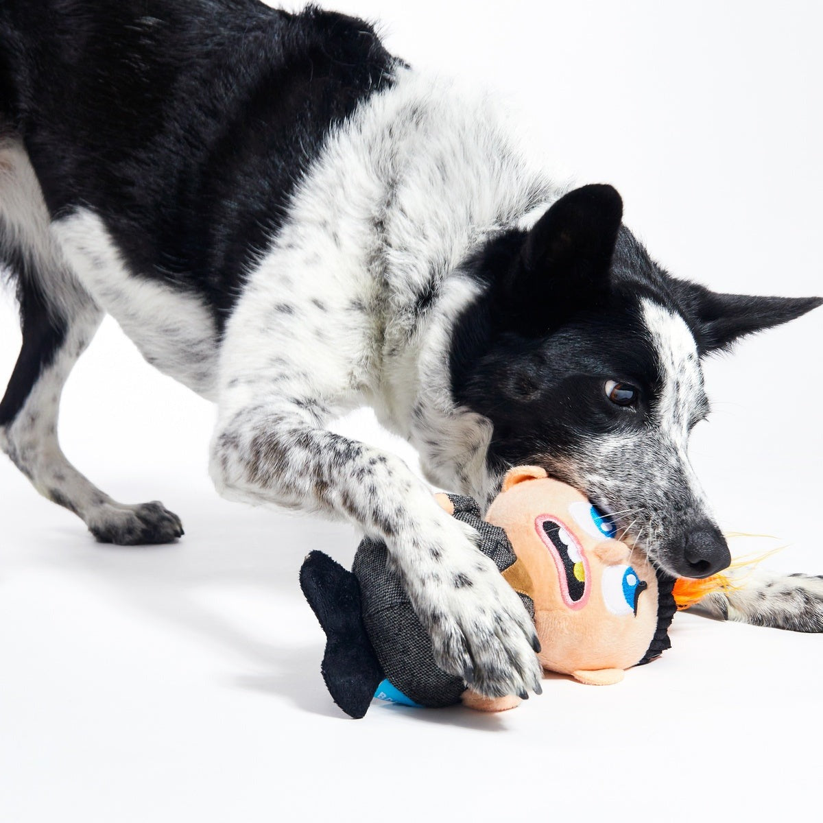 Harry Plush Dog Toy