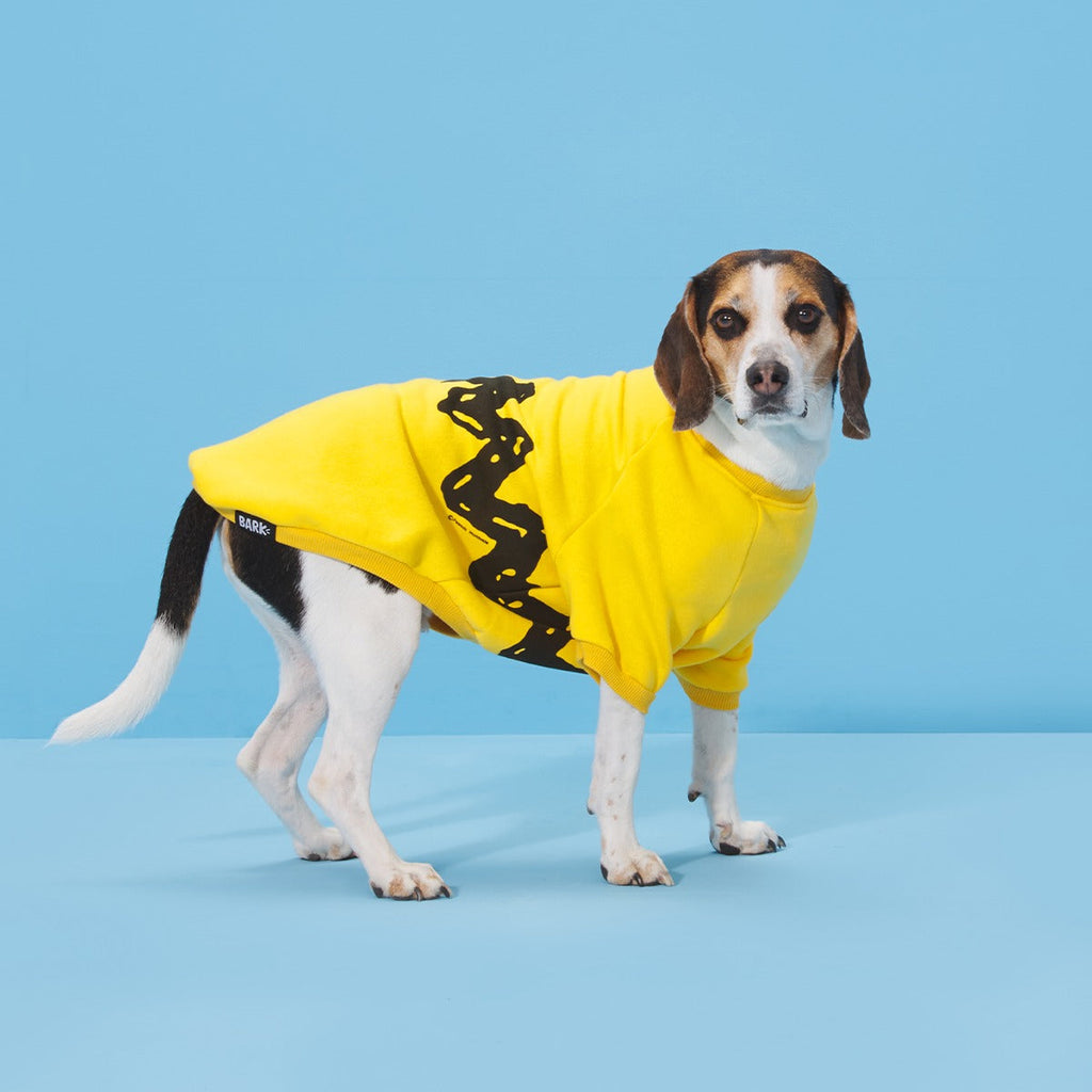 Peanuts Dog Sweatshirt