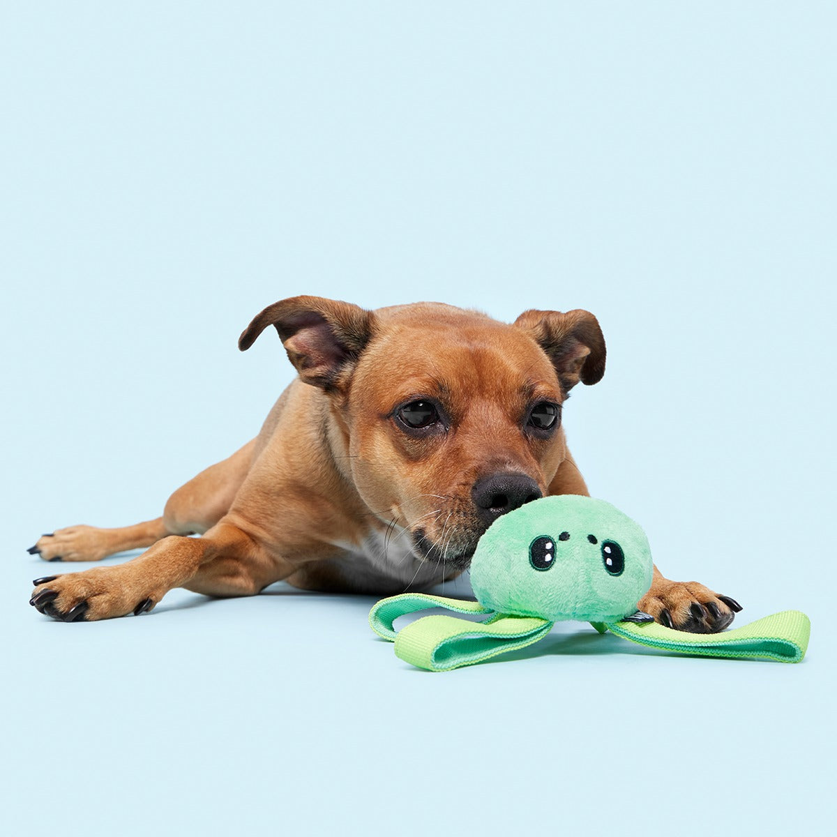 Galactopus Super Chewer Durable 2-in-1 + Tug Dog Toy