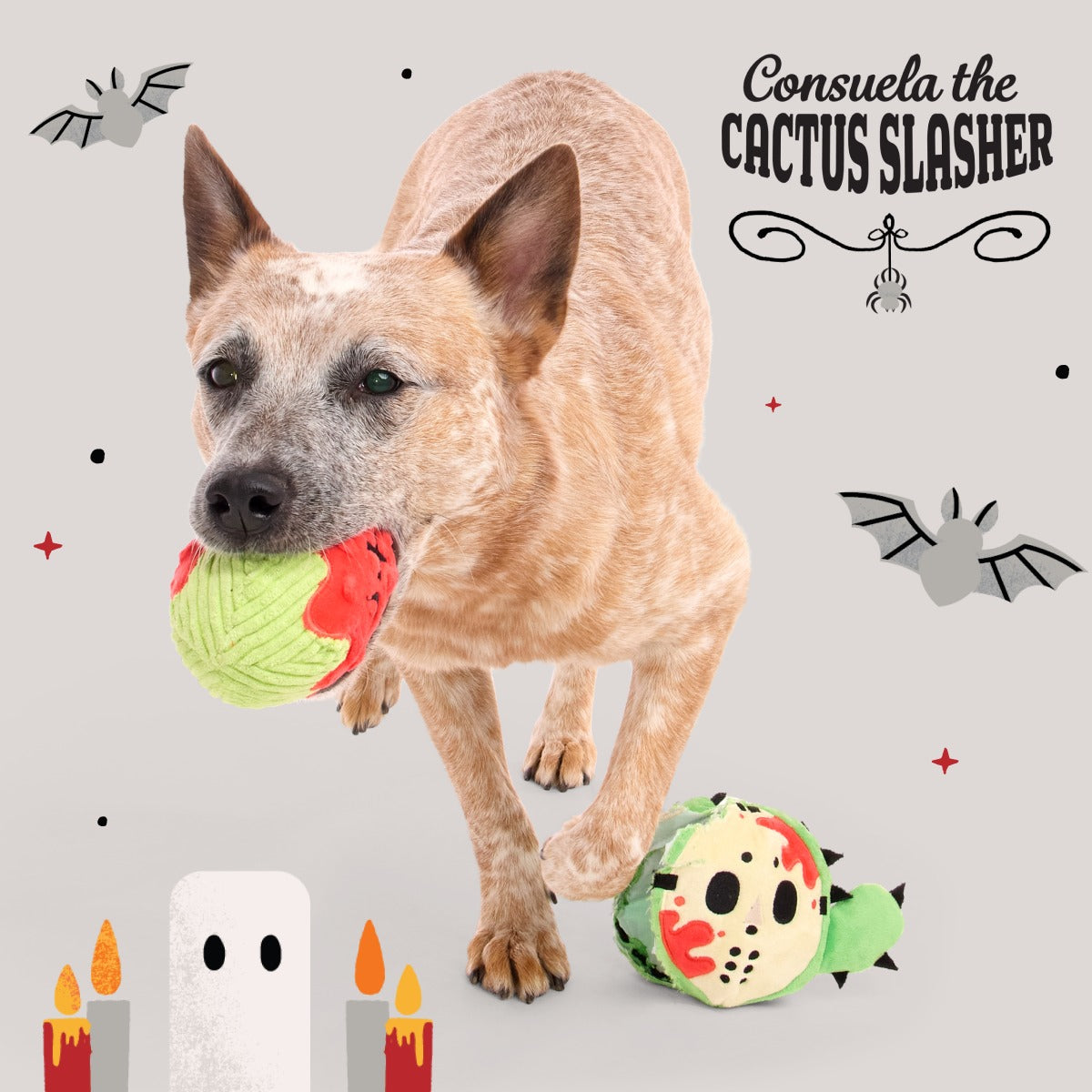 Consuela the Cactus Club, Plush 2-in-1 Monthly Dog Toys