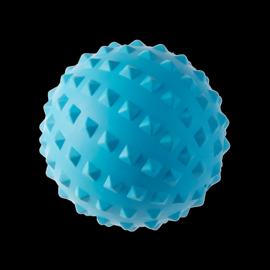 Spike The Beach Ball Super Chewer Durable 2-in-1 + Fetch Dog Toy