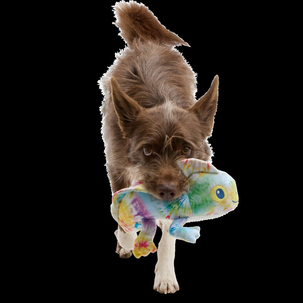 The Lizard King Plush Tug Dog Toy