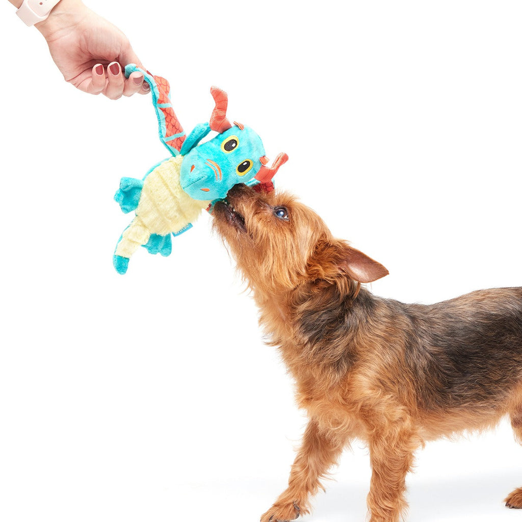 Grimbold the Dragon Plush Tug Dog Toy