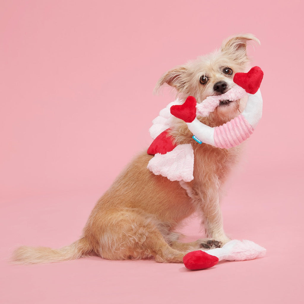 Cupid Bundle Plush Wearable Dog Toy