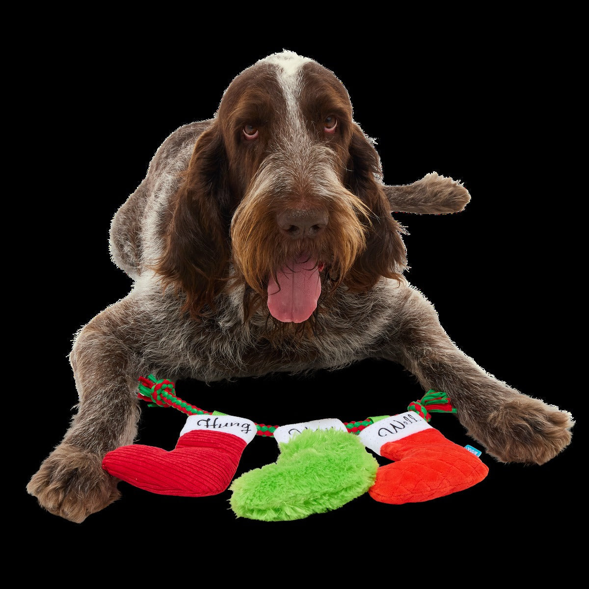 Well Hung Stockings Plush Tug Dog Toy