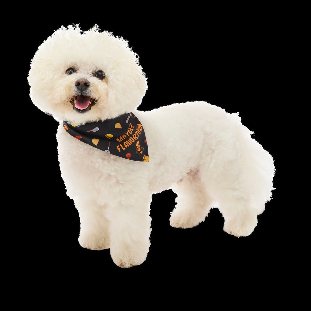 FlavortownTM Dog Bandana