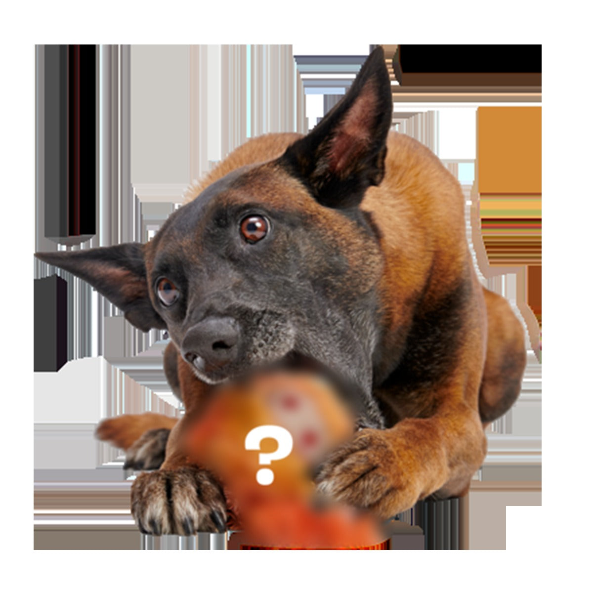 Secret Monster Club, Super Chewer Durable 2-in-1 Rip and Reveal Monthly Dog Toys