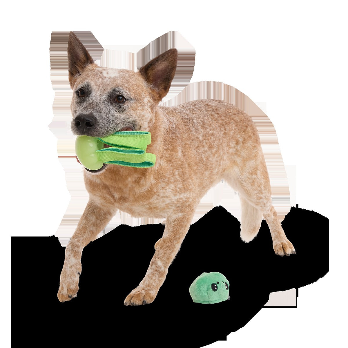 Galactopus Super Chewer Durable 2-in-1 + Tug Dog Toy