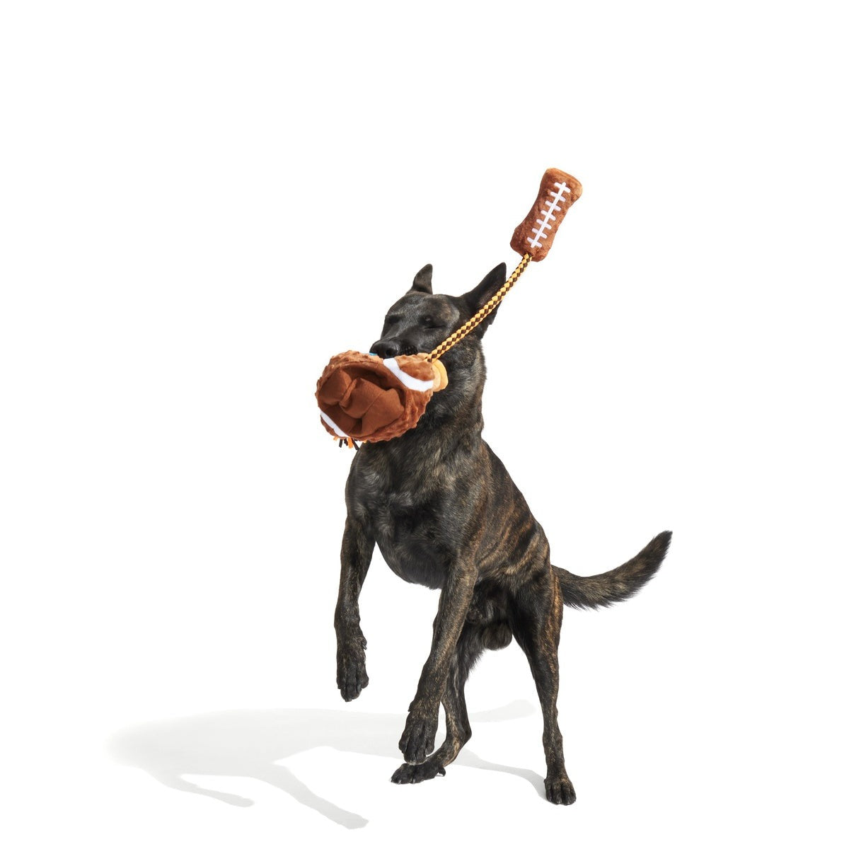 Go Long Distance Call Plush Tug Dog Toy