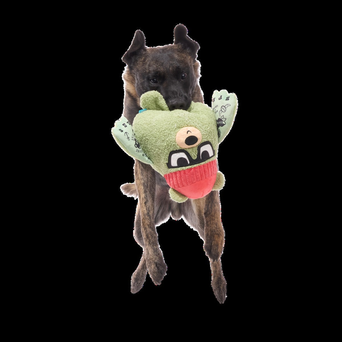 Bearista Plush Extra-Large + Tug Dog Toy