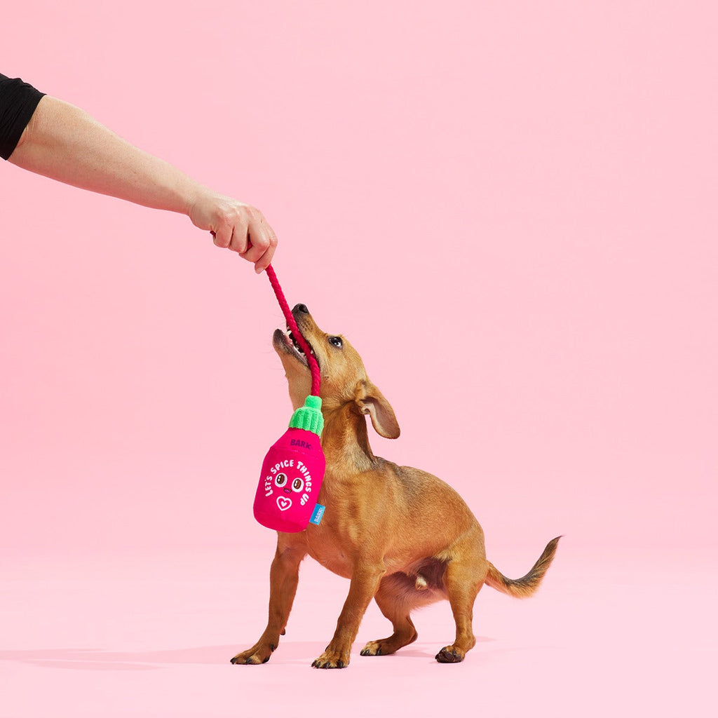 Hot Stuff Plush Tug Dog Toy