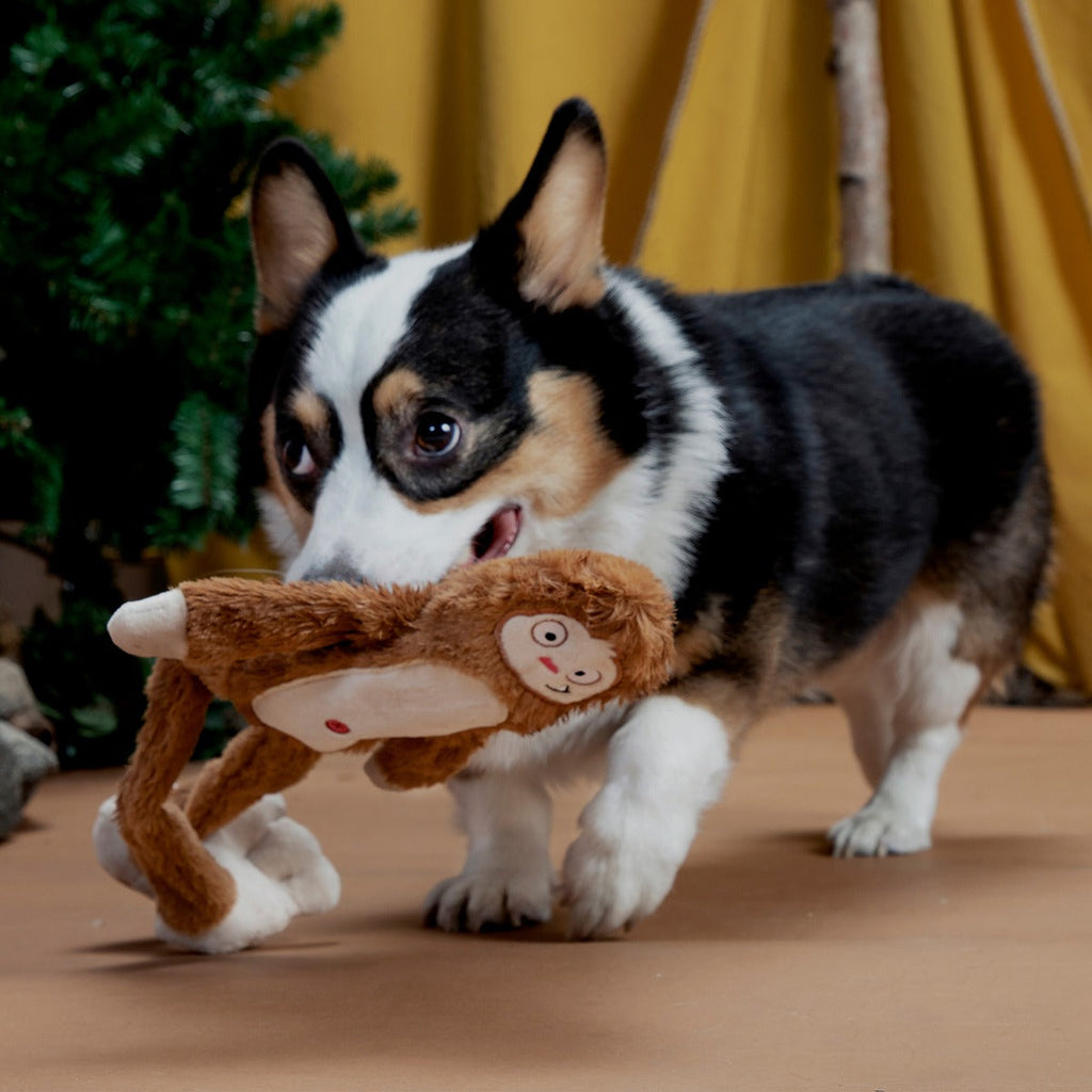 Hairy Henderson Plush Extra-Large + Tug Dog Toy
