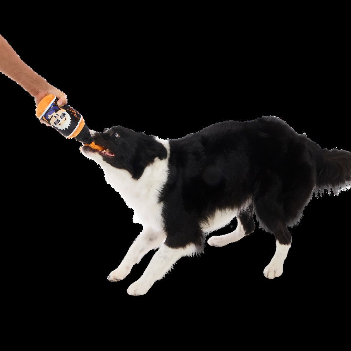 Famous Doggy Sauce Plush Tug Dog Toy
