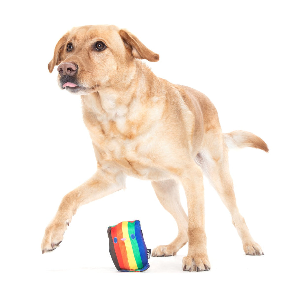 Some Bear Over The Rainbow Super Chewer Durable 2-in-1 Dog Toy