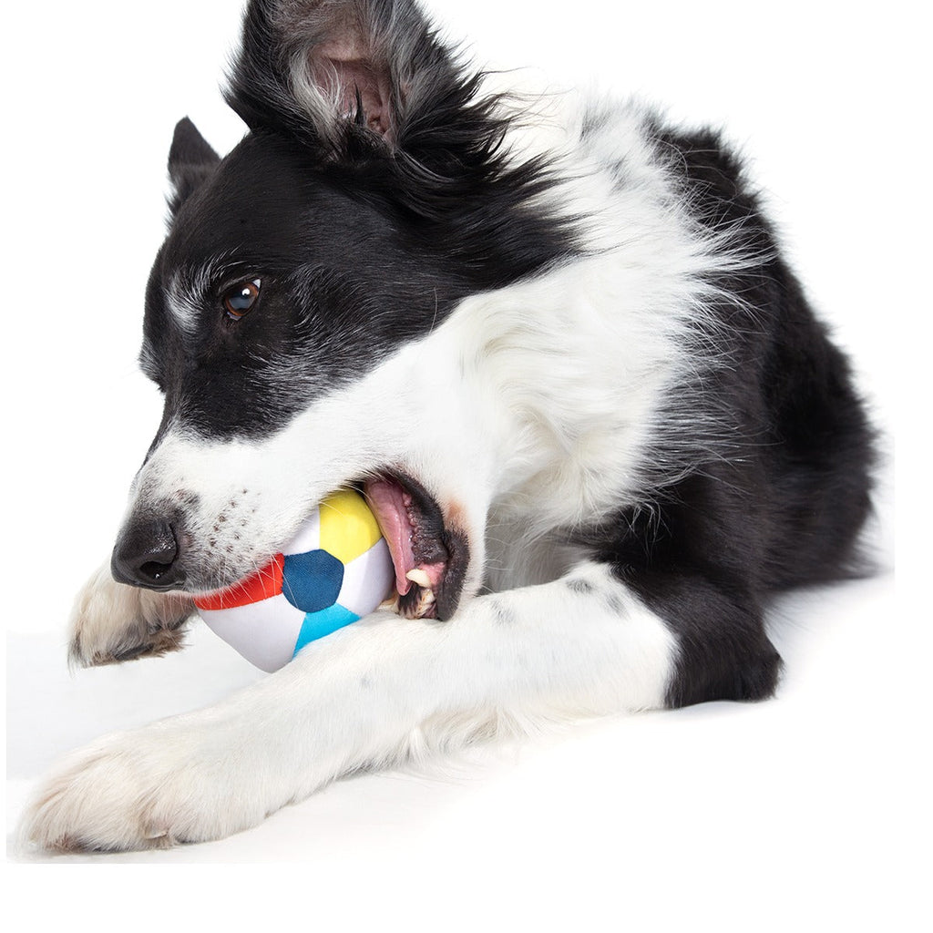 Spike The Beach Ball Super Chewer Durable 2-in-1 + Fetch Dog Toy