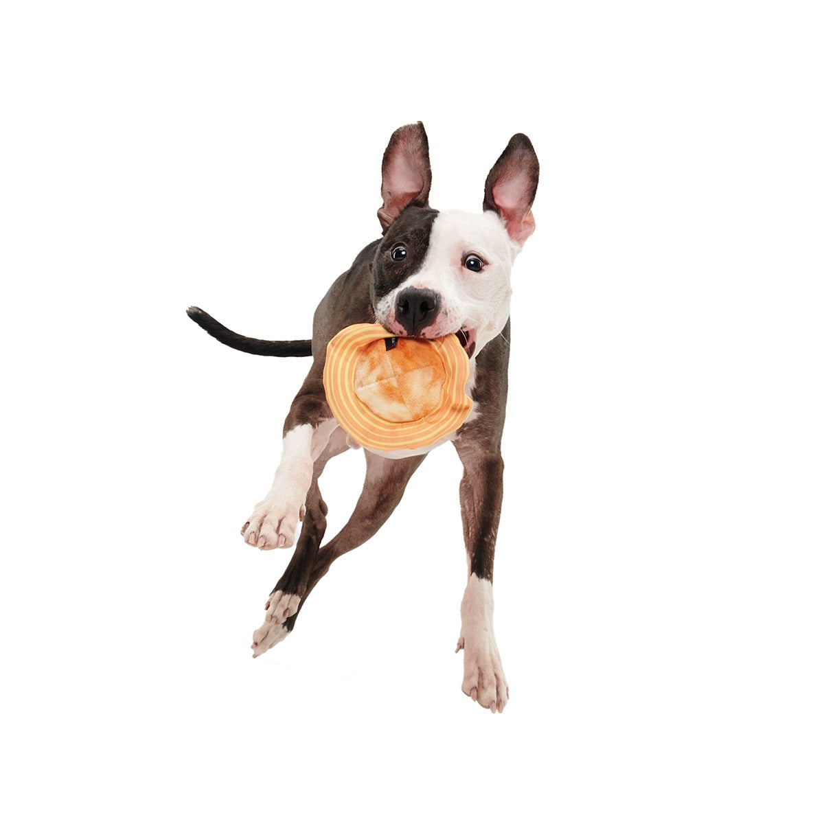 Flings Around Saturn Super Chewer Durable 2-in-1 + Fetch Dog Toy