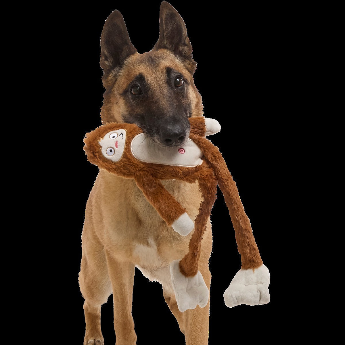 Hairy Henderson Plush Extra-Large + Tug Dog Toy