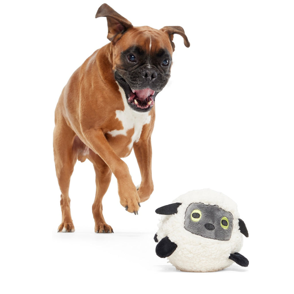 Little Bo Pup Super Chewer Durable Fetch + 2-in-1 Dog Toy