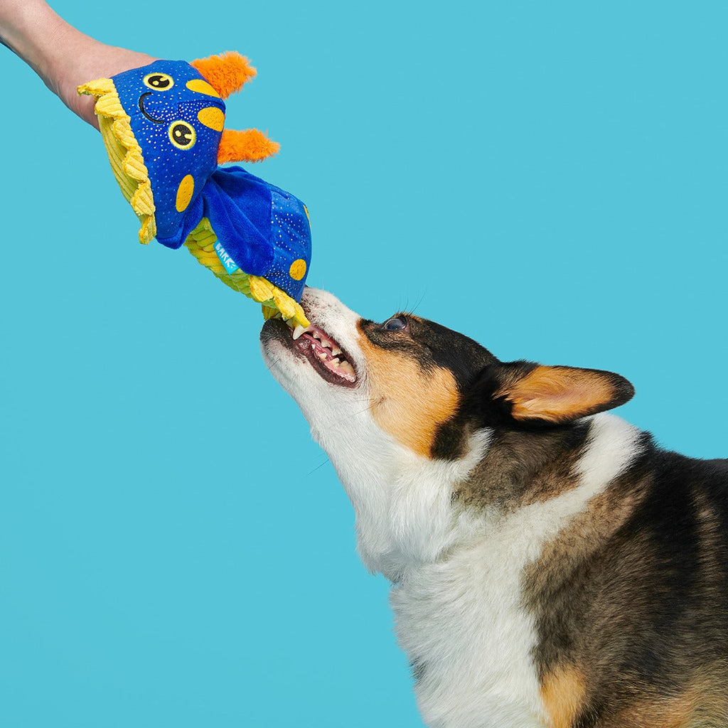 CeCe Slug Plush Tug Dog Toy