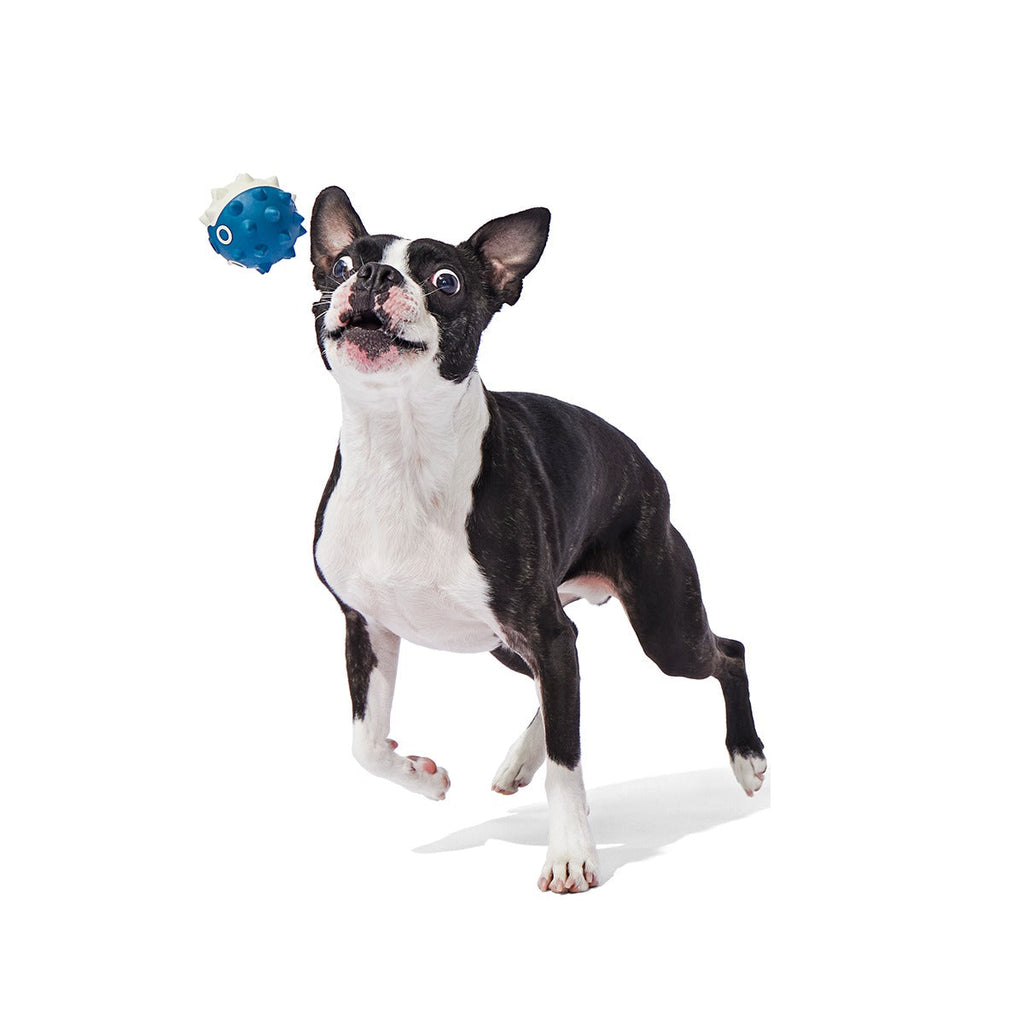 Throwfish Super Chewer Durable Fetch Dog Toy