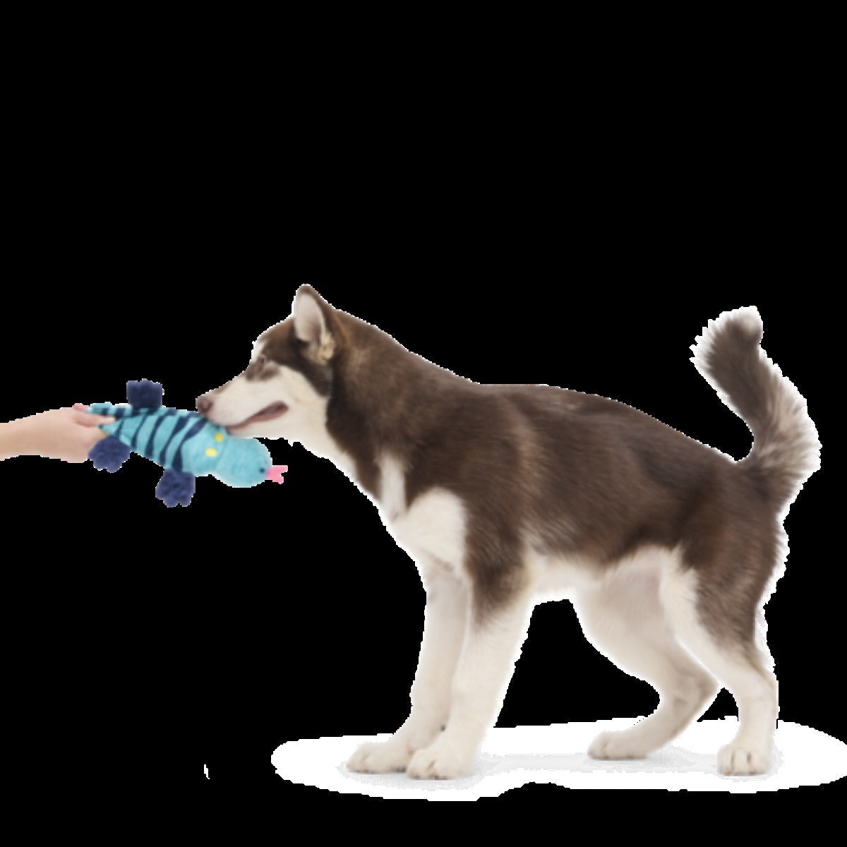 Megalania Meg Plush Dog Toy