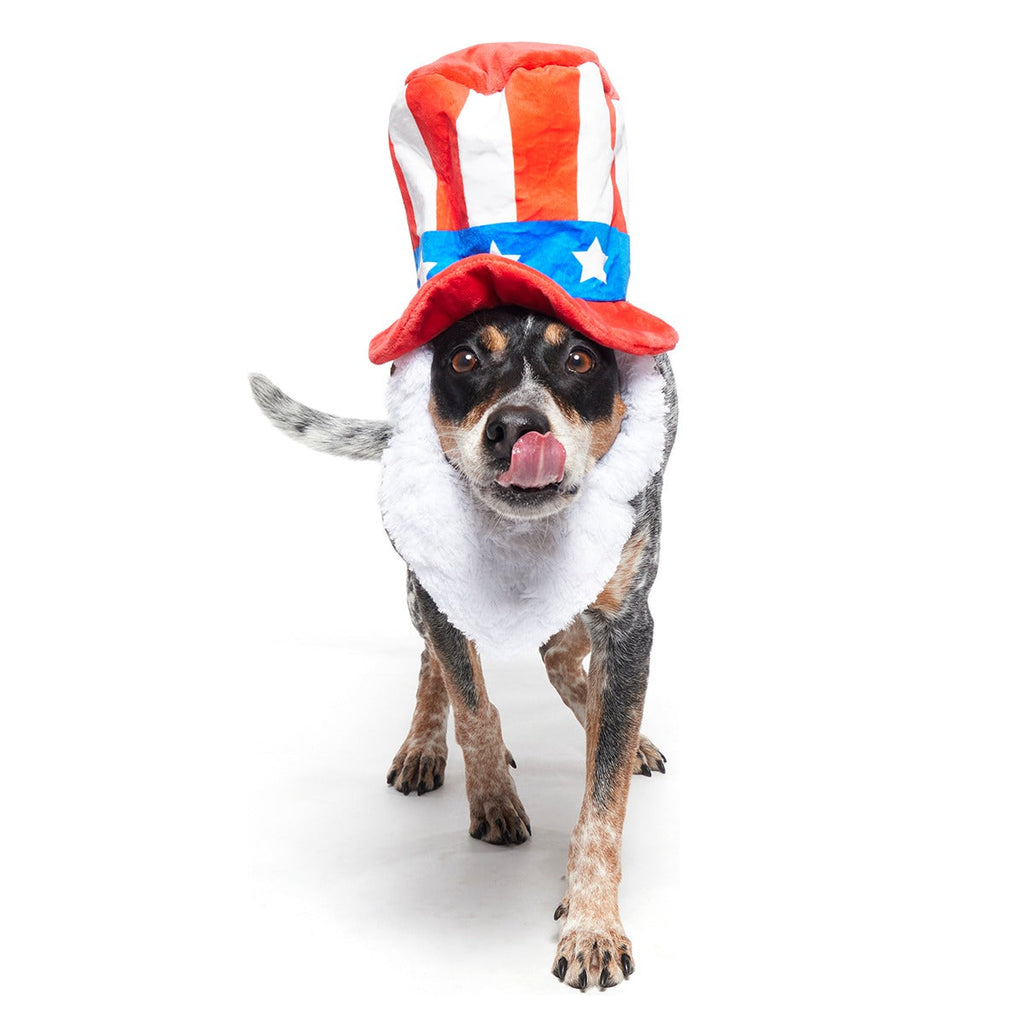 Dog Bless America Plush Wearable + Tug Dog Toy