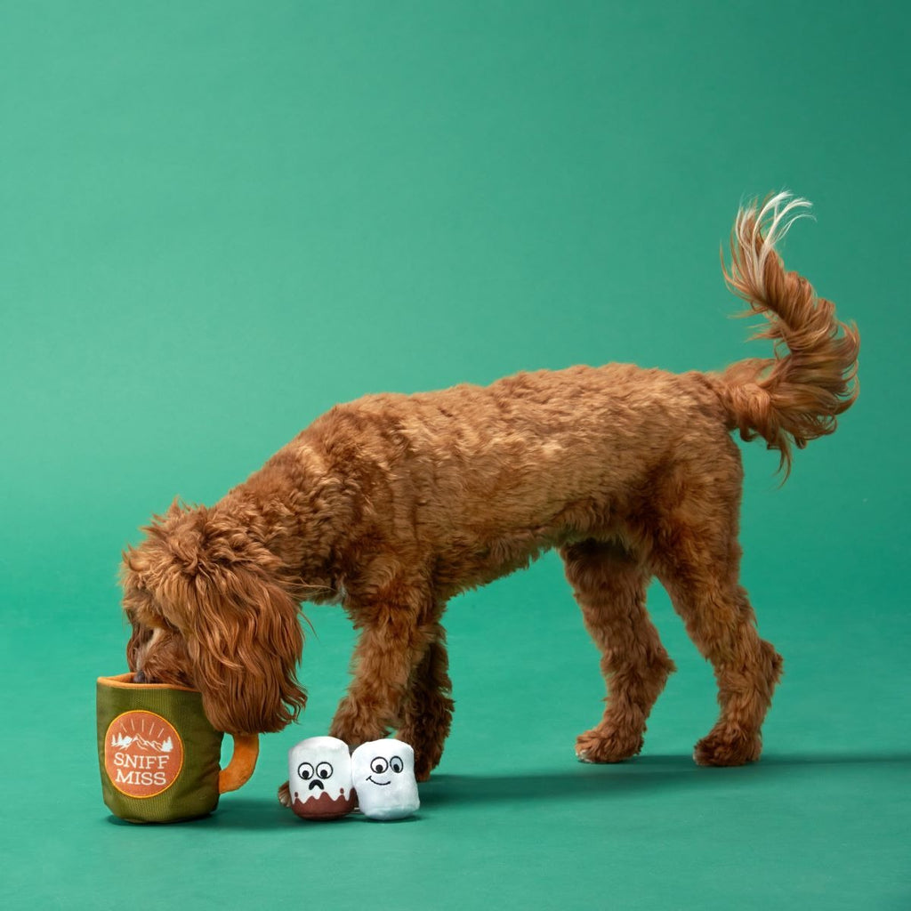 Ruffin It Mug Plush Multi-Part + Enrichment Dog Toy