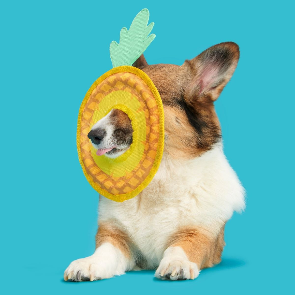 Pineapple Fling Plush Tug + Fetch Dog Toy
