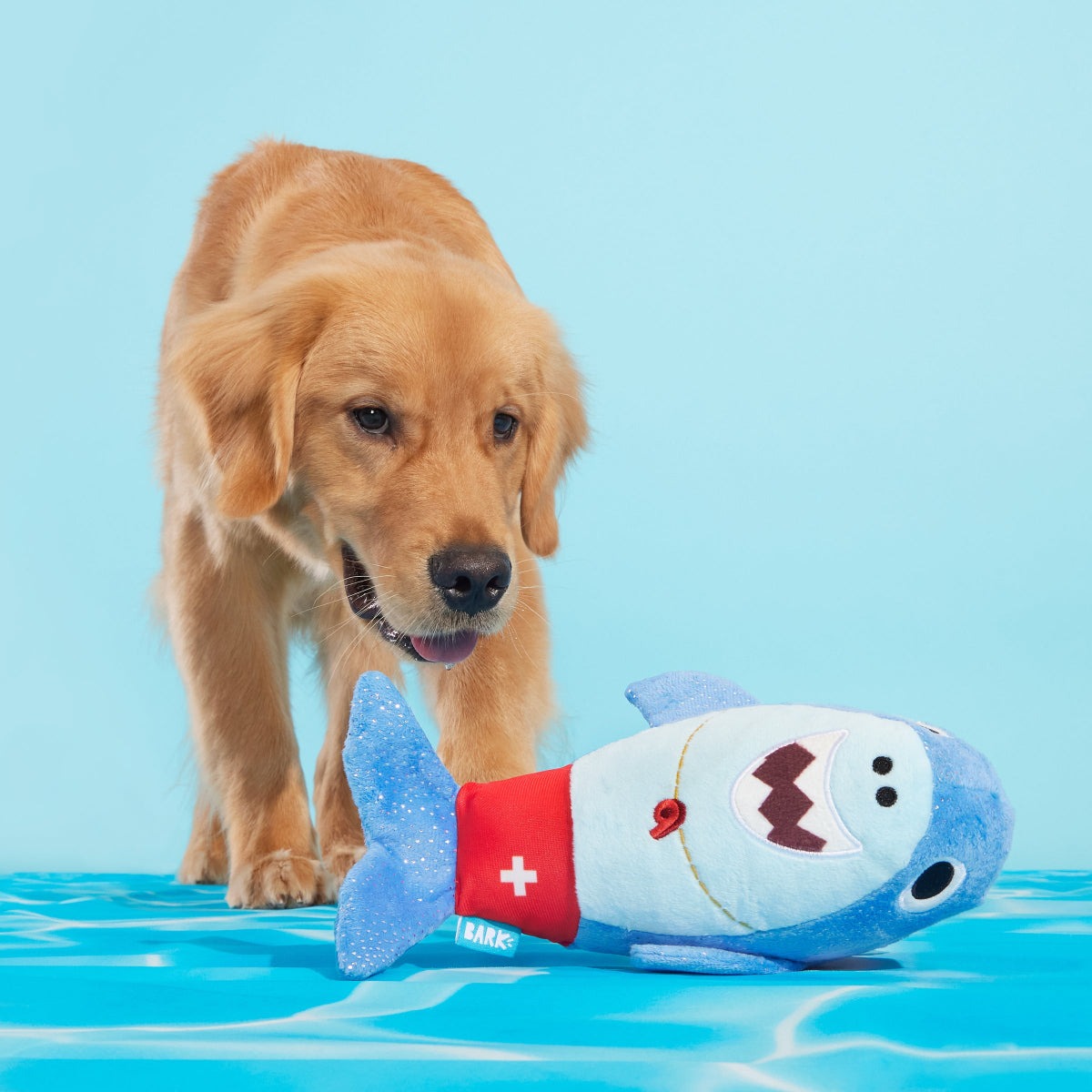 Pool Shark Shane Plush Tug Dog Toy