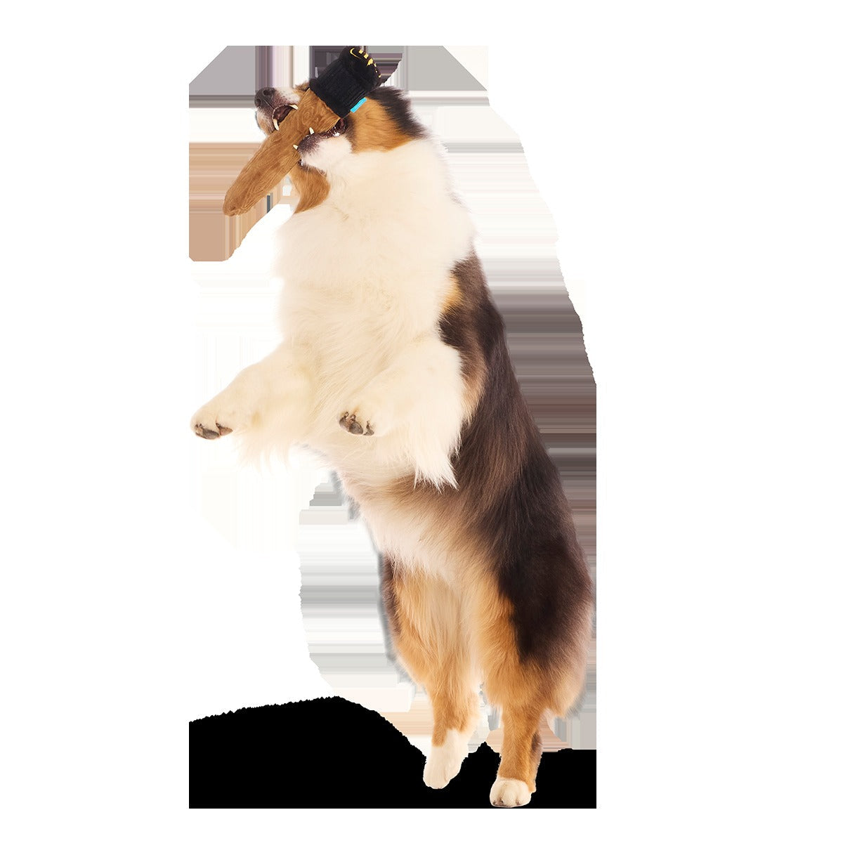 Spellbinding WandTM Plush Tug Dog Toy