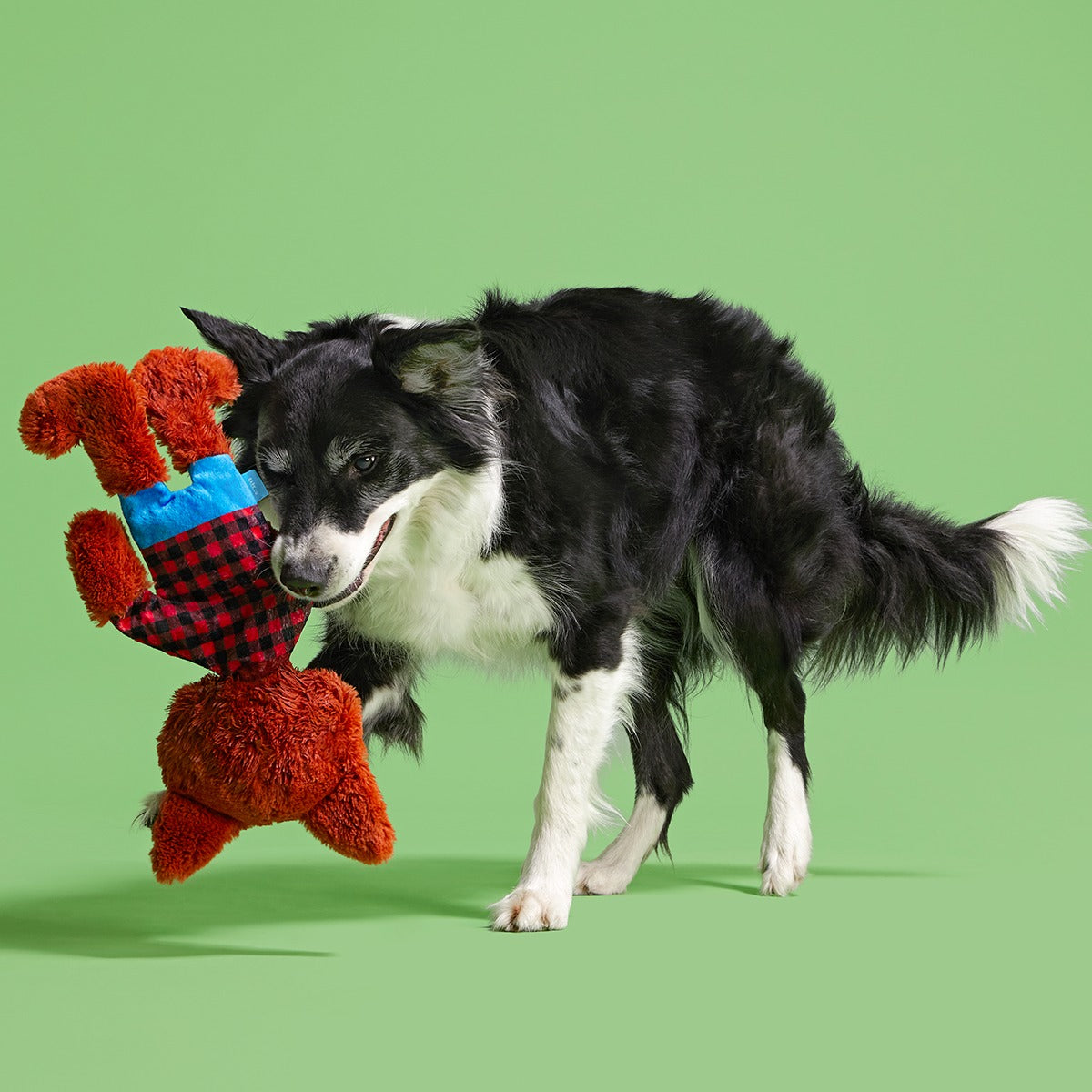 Teen Woof Plush Extra-Large + Tug Dog Toy